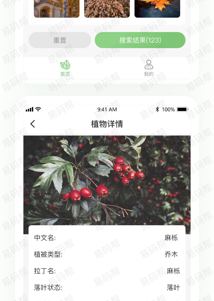 植物识别app制作案例.jpg